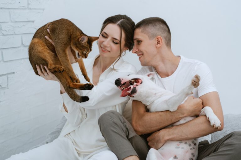 Do Cat or Dog Preferences Define You?