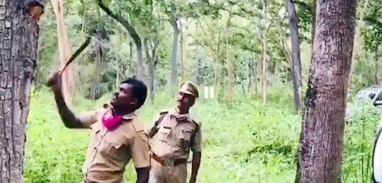 Viral Video Shows Water Gushing Out of Tree in Andhra Pradesh Forest